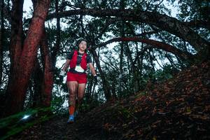 BIB: 
                            <button type="button" onclick="openModal(26342982)" class="btn btn-primary btn-sm float-right btn-popup" data-toggle="modal" data-target=".modal-high-quality">
                        <i class="fas fa-shopping-cart"></i> Add to Cart
                    </button>
                                            <button type="button" onclick="isThisMe(26342982, true)" class="btn btn-success btn-sm float-right btn-popup btn-isme hidden" data-toggle="tooltip" data-placement="bottom" title="นี่คือรูปของคุณใช่ไหม คลิกที่นี่เพื่อเอาเข้าอัลบั้ม">
                        <i class="fas fa-plus"></i> Add to album
                    </button>
                    <button type="button" onclick="isThisMe(26342982, false)" class="btn btn-warning btn-sm float-right btn-popup btn-isnotme hidden">
                        <i class="fas fa-ban"></i> Remove from album
                    </button>